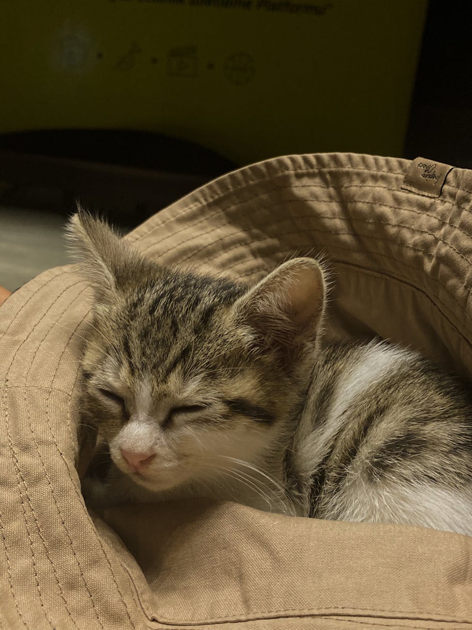 It’s Time for Law and Order: Organized Crime to Embrace Silly&nbsp;Hats